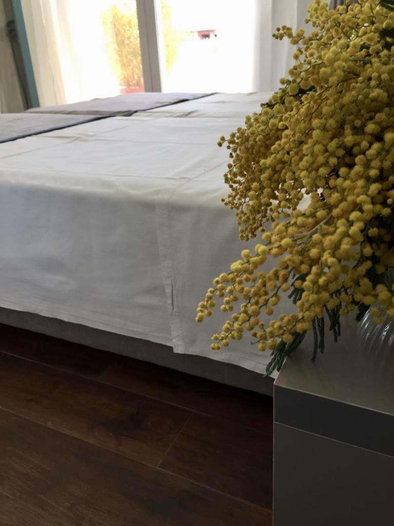 Amberyellowbnb Шкодер Экстерьер фото